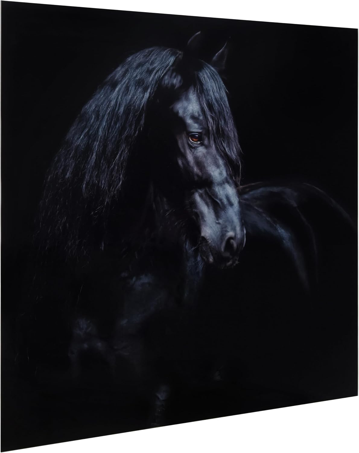 Empire Art Direct Black Equine Attraction Frameless Printed Tempered Glass Wall Art, Black Horse Home Decor, Ready to Hang, Living Room, Bedroom & Office, 38" x 38" x 0.2"