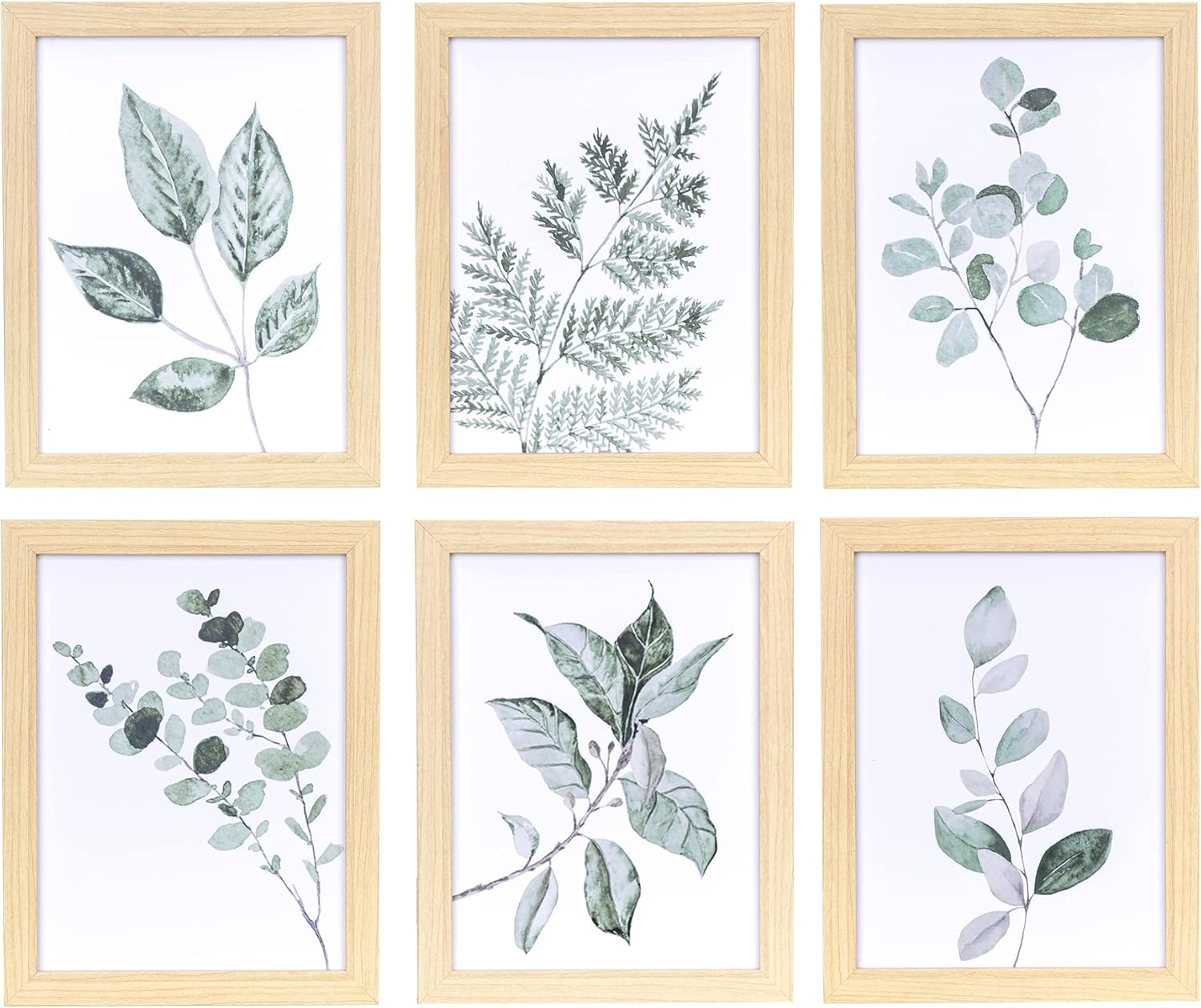 ArtbyHannah 6 Pack 6x8 Natural Framed Botanical Wall Art