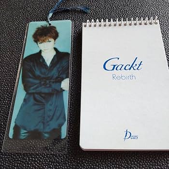 値下げ Gackt ガクト 激レアグッズおまとめセット GACKTのフィギュア＆ますこっとぬいぐるみがナムコのお店