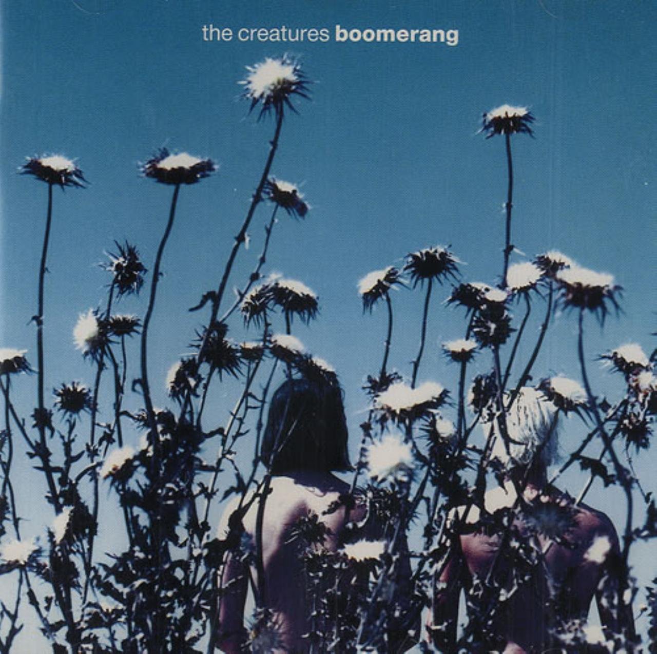 Boomerang