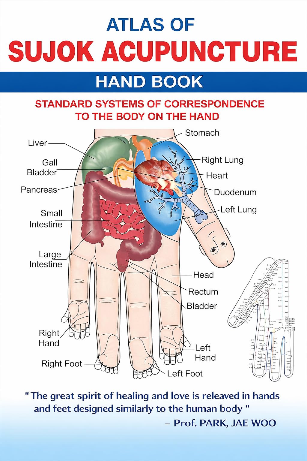 Sujok Acupuncture Hand Book, Standard Systems of Body Correspondence on Hand & Feet, Therapy Reference Guide for Healing & Wellness, Paperback, Multicolour, 20x15 cm-image-26