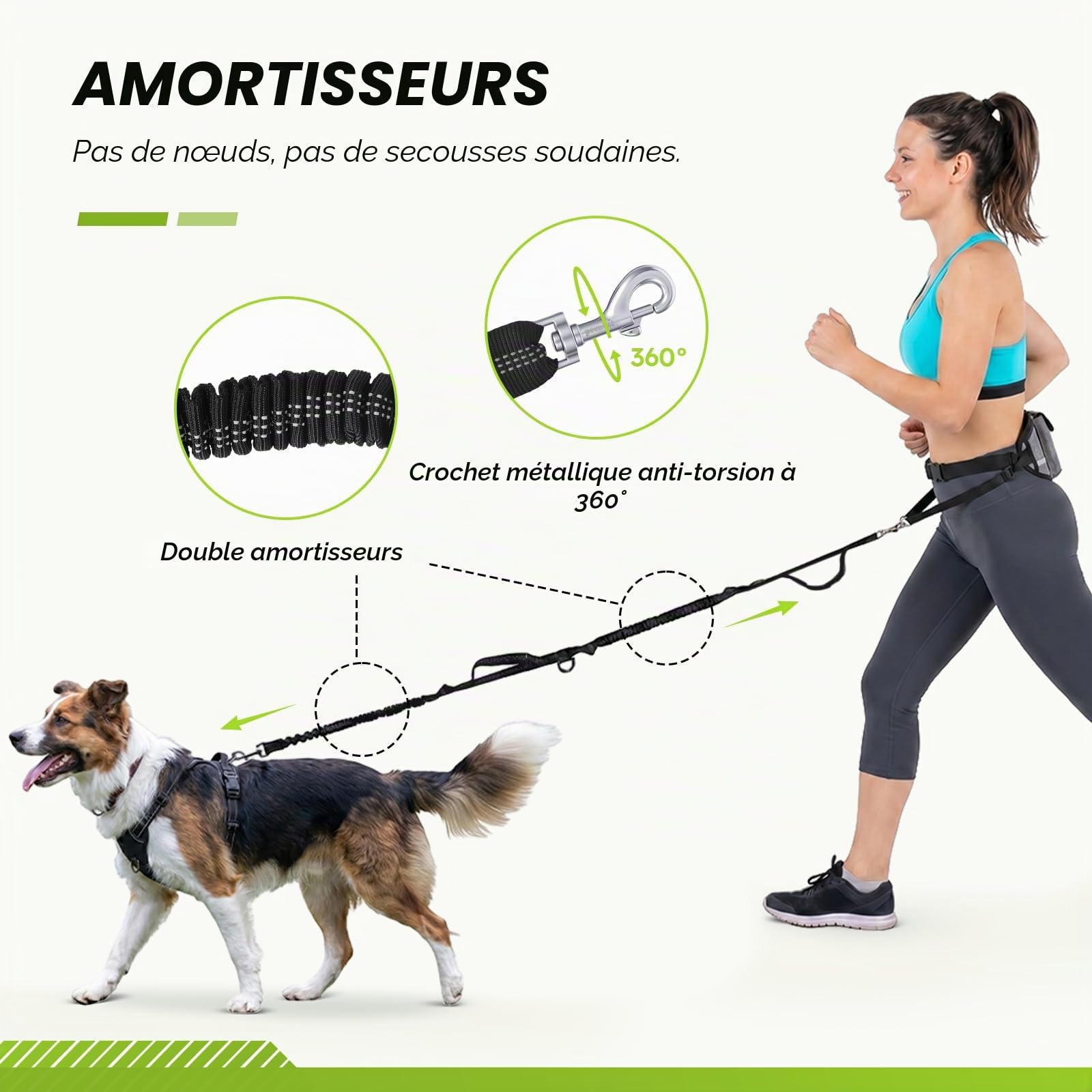 Pecute Laisse Canicross Chien Mains Libres Jusqu'à 50kg Absorption de Choc Couture Réfléchissante