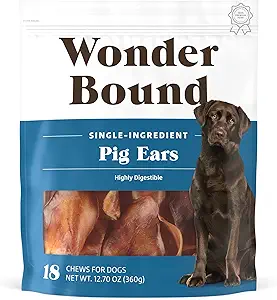 71xoXLEp93L.__AC_SX300_SY300_QL70_FMwebp