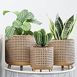 JHY DESIGN Set of 3 Plant Pots 10/8.5/7''H Metal Decoration Flower Pots with Hollow Design Large planters for Indoor & Outdoor Garden Home Balcony Railing Fence Plants(Gold)