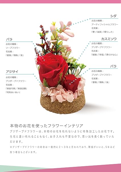 ソープフラワー プリザーブドフラワー ガラスドーム 枯れない花 本物のバラ パープル アレンジメント 母の日 女性 人気 お花 お祝い 誕生日 プレゼント ホワイトデー お返し ギフト ガラスドームアレンジ レッド 花瓶 - 3