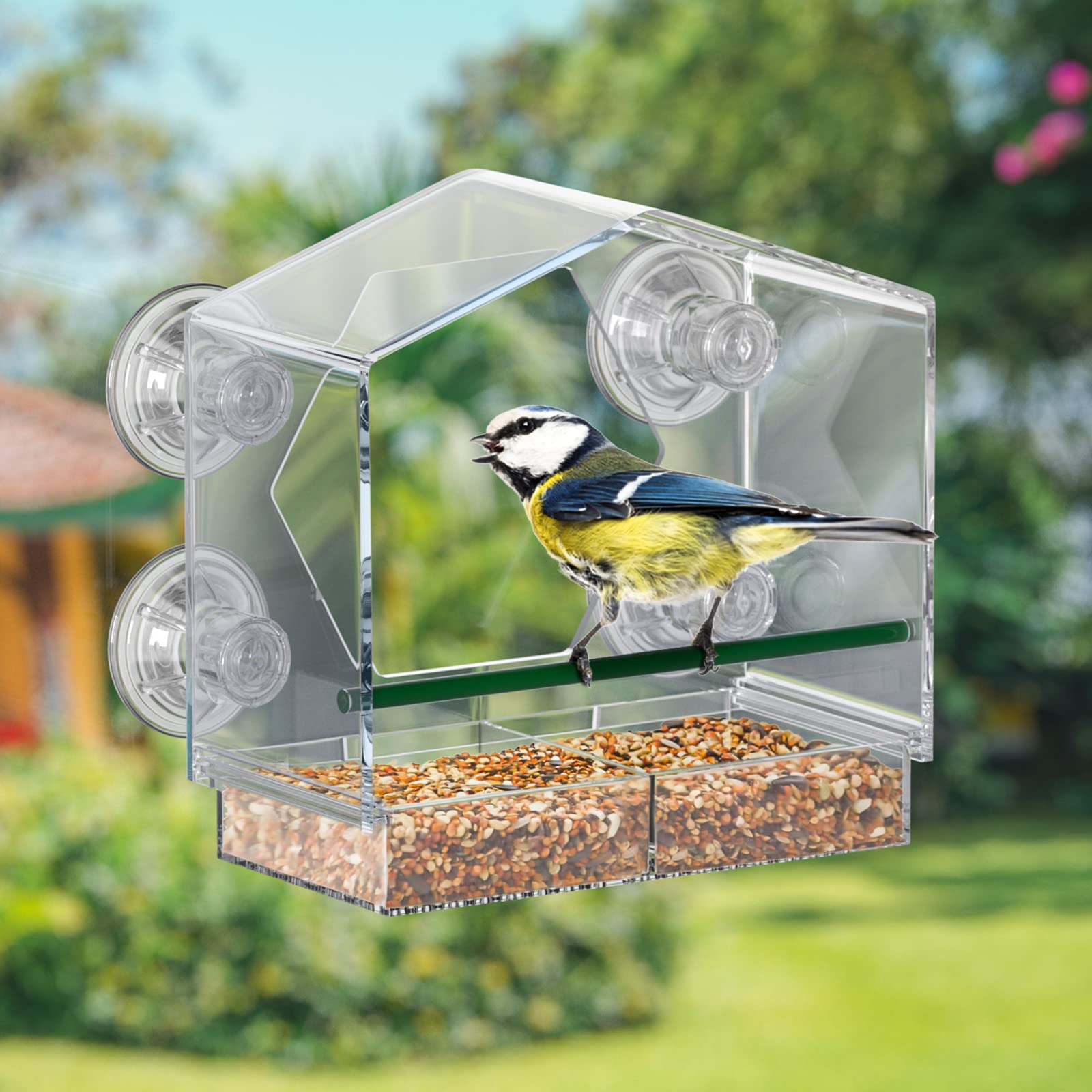 Buy Window Bird Feeder, Window Bird Feeder with Extra Strong Suction