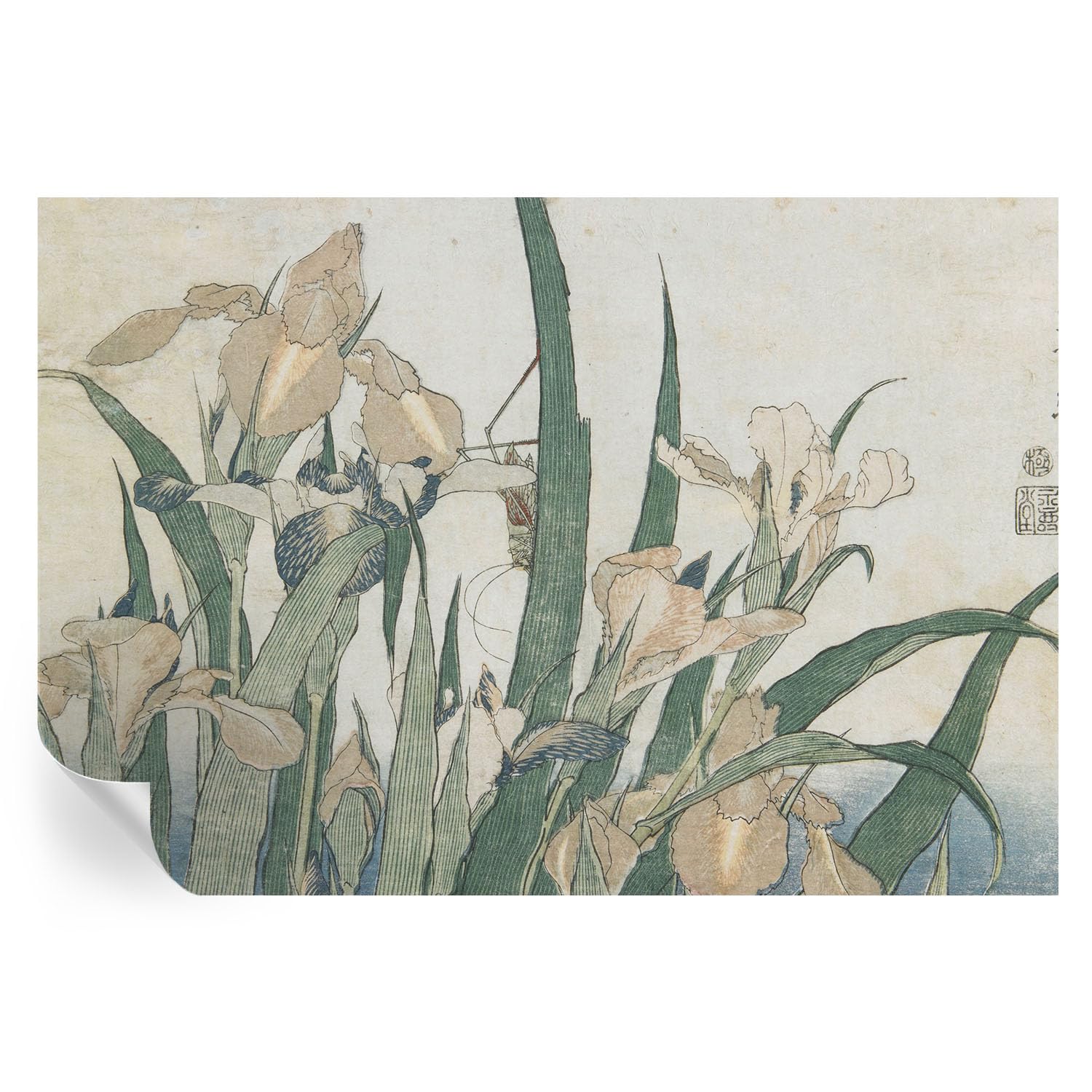 Papel pintado adhesivo lavable para pared de dormitorio con murales de vinilos florales
