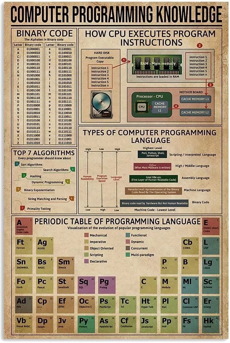 rayprint Computer Programming Knowledge Canvas Posters Wall Art How CPU Executes Program Instructions Frameless Paintings Prints For Bedroom School Home Office Decor 12x16inch