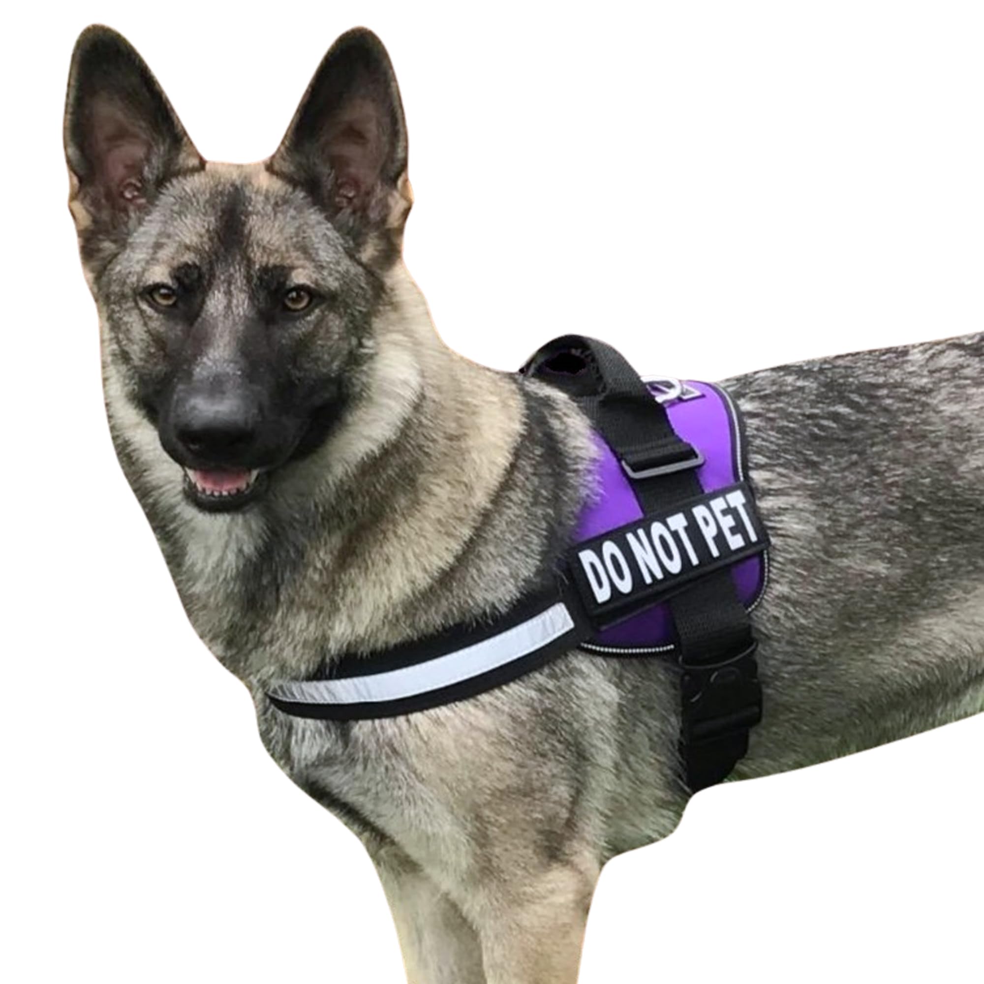Doggie Stylz Dog Harness with DO NOT PET Patches – No Pull Service Dog Vest and Service Animal Vest for Dogs – Adjustable Gentle Leader for Dogs –