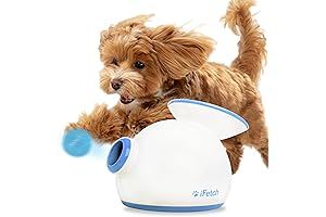 iFetch: Automatic Ball Launcher for Small Dogs