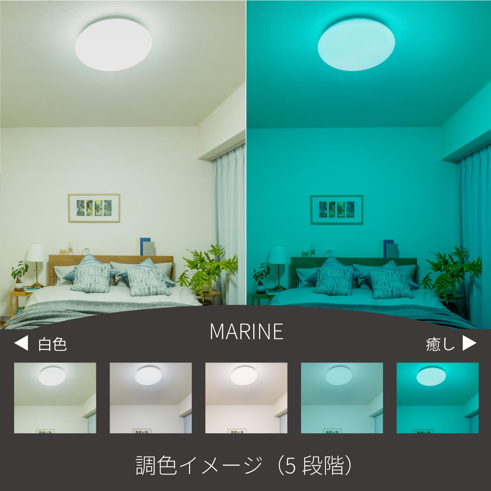 Hotalux（ホタルクス） LEDシーリングライト ~8畳 日本照明工業会基準 HotaluX（ホタルクス） 日本製 LEDシーリングライト HLDC08280 適用畳