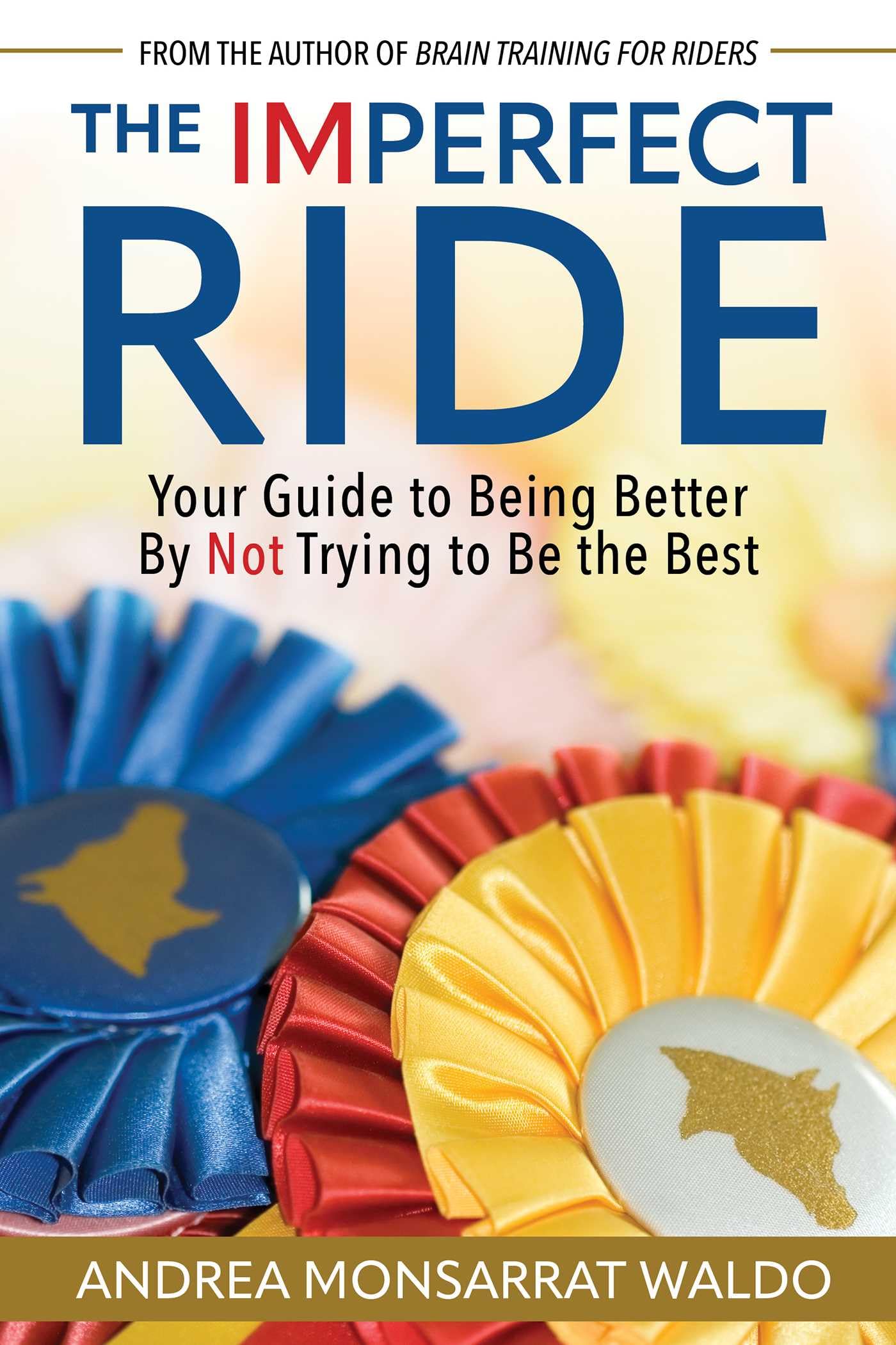 The Imperfect Ride by Andrea Monsarrat Waldo (Paperback Book)