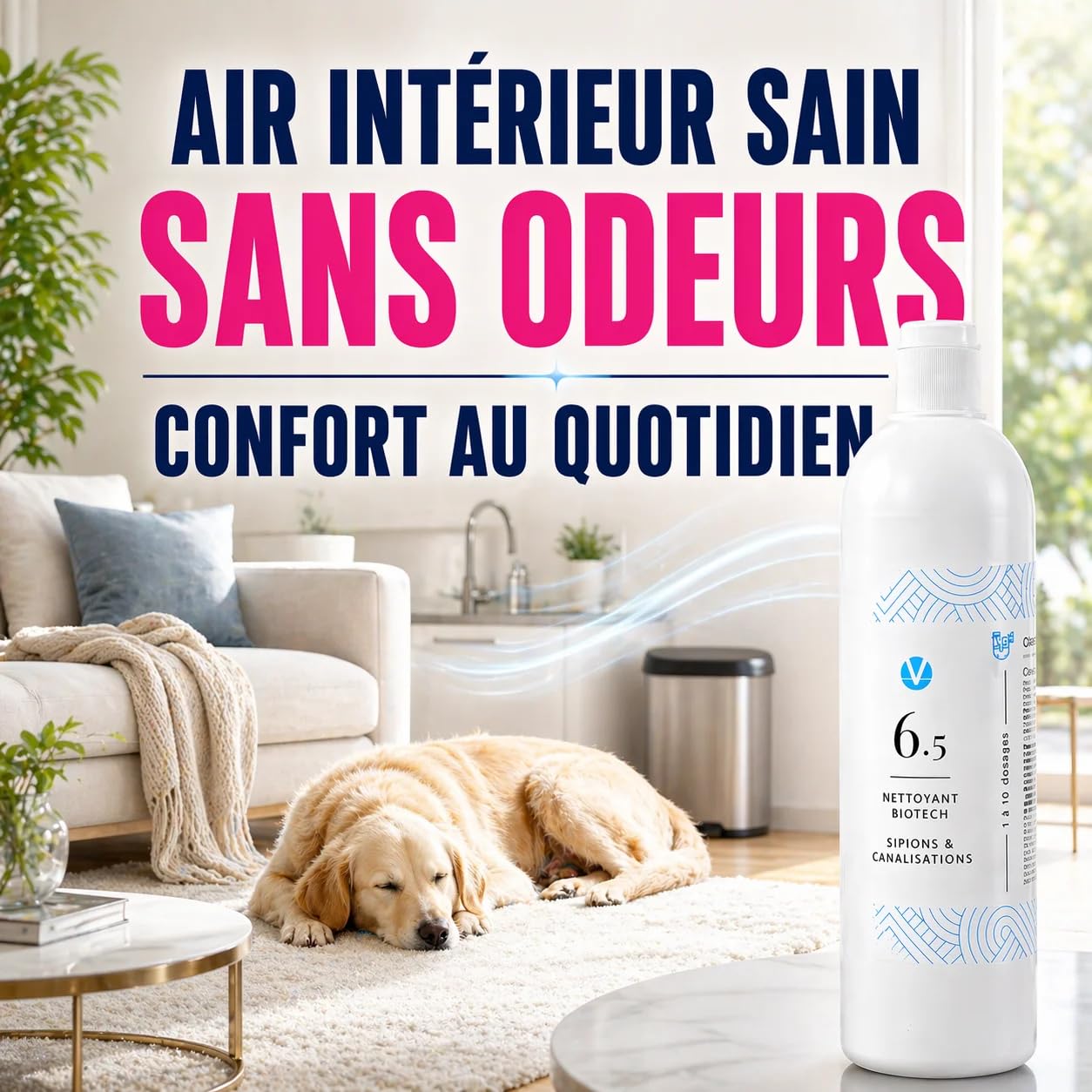 N°6.5 Canalisations Enzymatique Concentré – Odeurs Égout 50 Doses | 0,55€/dose, 1 à 2 ans d'autonomie, sans CMR ni perturbateurs endocriniens, sain pour animaux, Qualité Pro, fabriqué en France