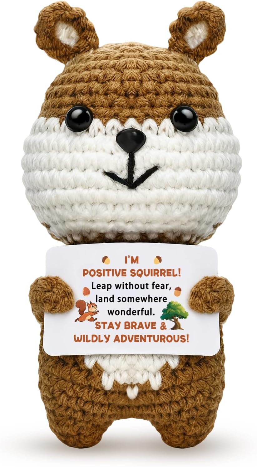 Gifts for Squirrel Lovers Handmade Crochet Squirrel Stuffed Animals Inspirational Motivational Gift for Friend Besite Sister Birthday Graduation Day Office Desk Companion