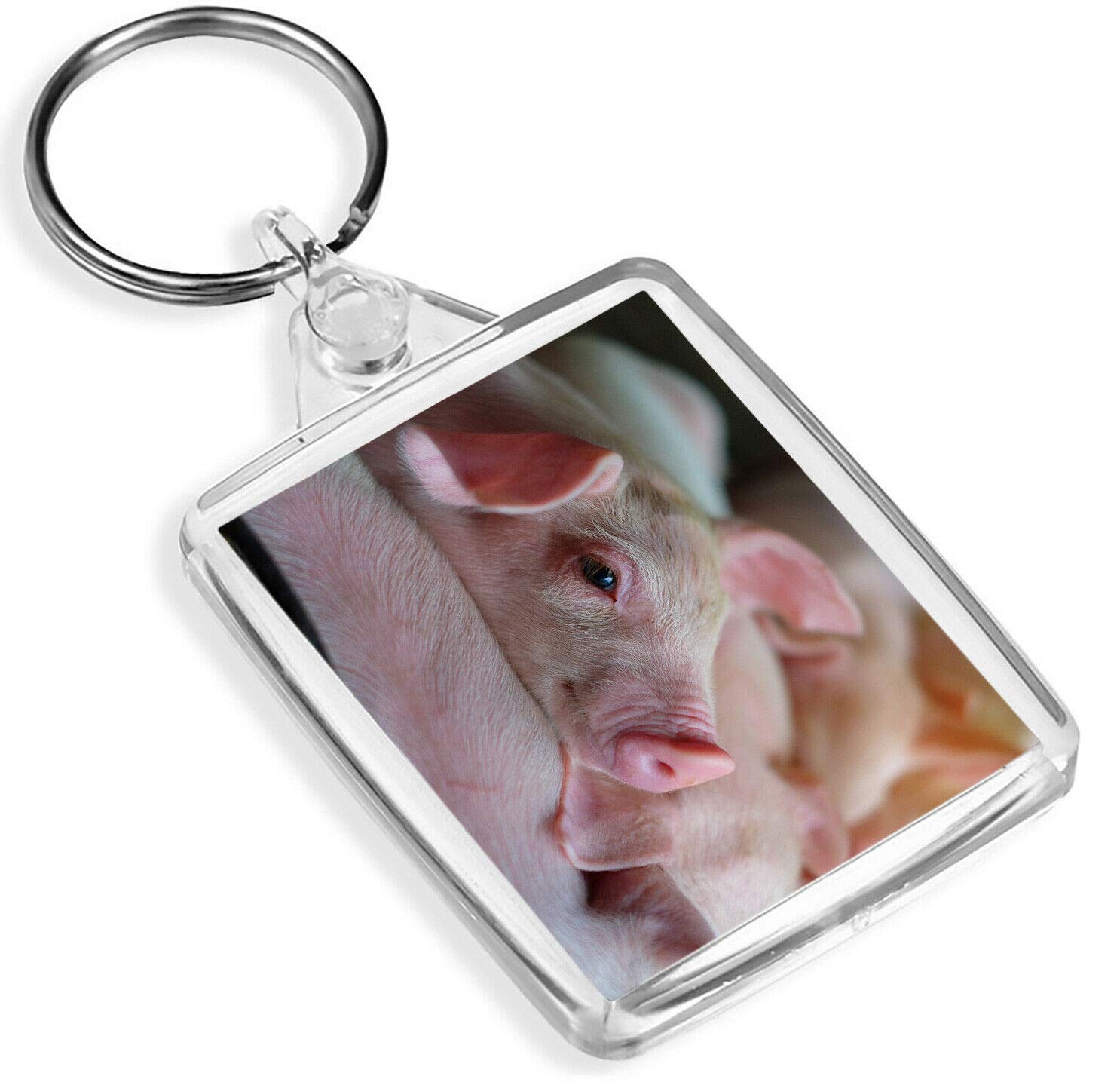 Cute Pink Piglet Keyring Pig Farm Farmer Kids Animal Funny Keyring #8822