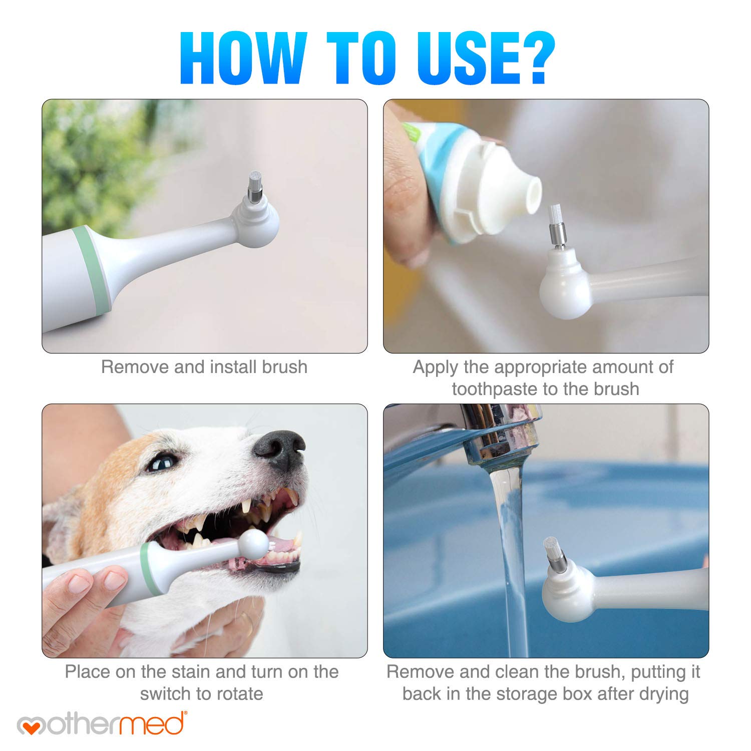dog enzyme teeth cleaner