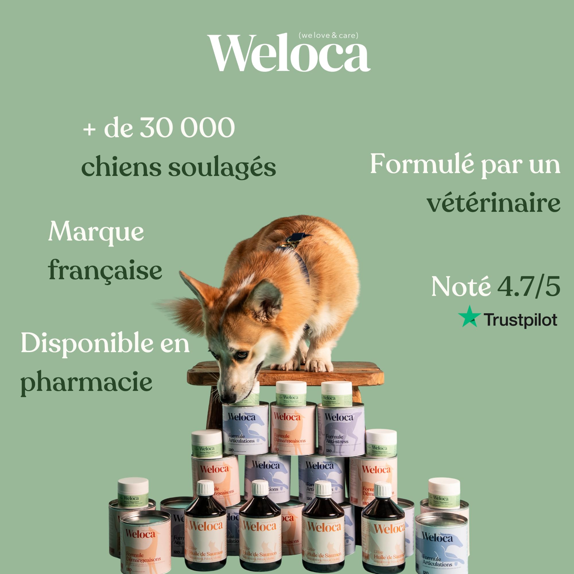 Probiotique Chien - 120 compléments Digestion Premium - Anti diarrhée Chien - Complexe Prébiotiques,probiotiques et prébiotiques - Formule vétérinaire - Marque française