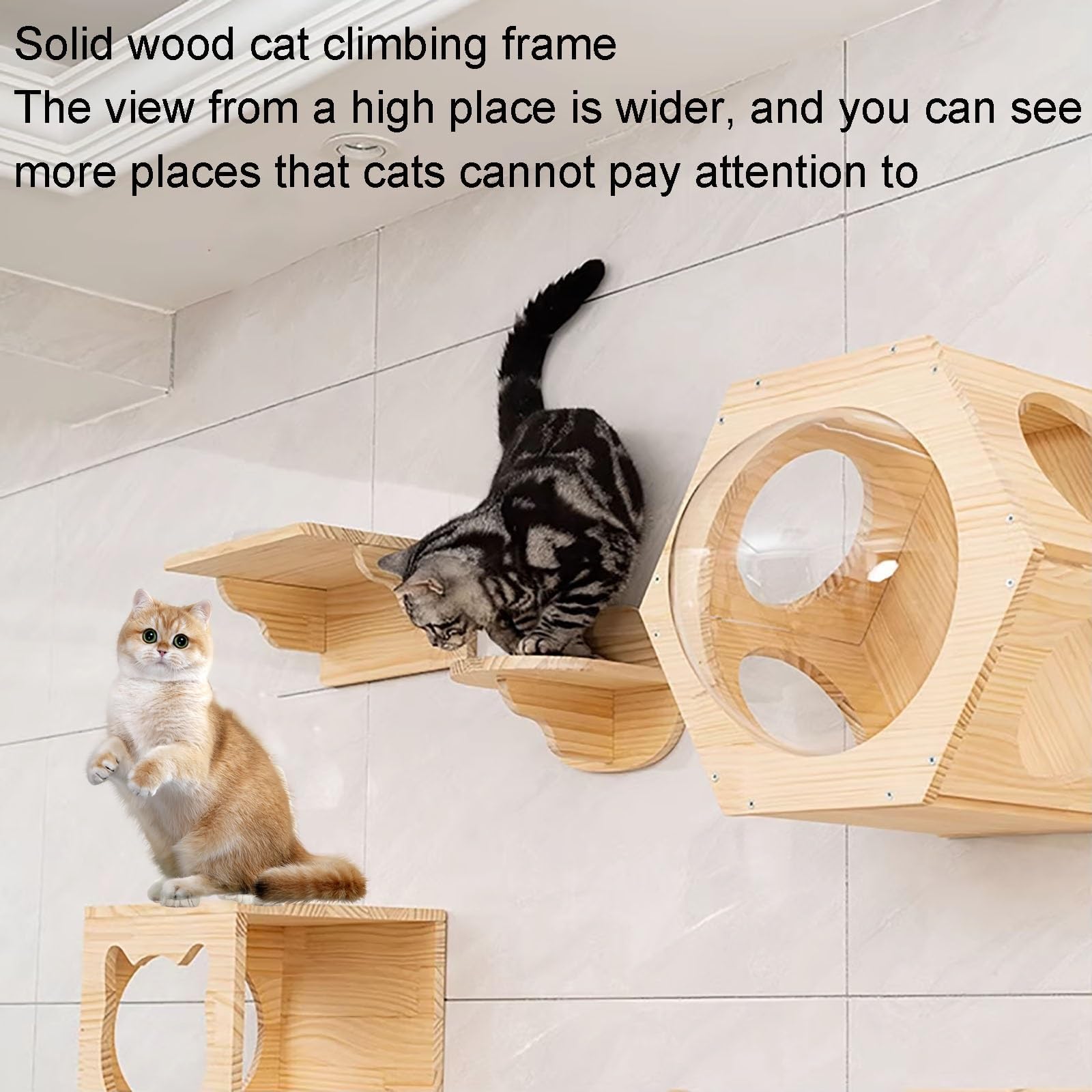 Katzenwandregal, Katzen Kletterwand，Katzenhaus, 1 Packung, Frei Kombinierbar, Und Schlafen Geeignet(40 * 60 * 40cm)