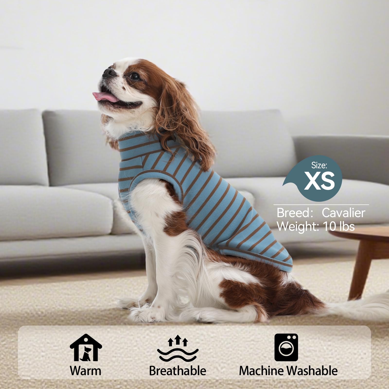 Hundepullover mit Rollkragenpullover, für den Winter, Herbst, Hundekleidung, Mantel für Hunde, Jungen und Mädchen, Haustier-Sweatshirt, Fleece-Weste für Labrador Retriever, Australischer