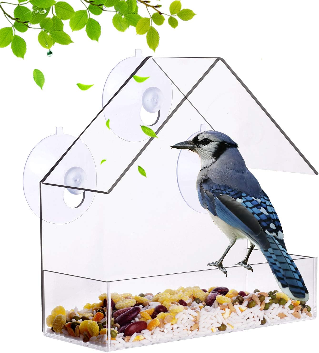 Amazon Com Window Bird Feeder With 3 Strong Suctions And Drain Holes Garden Outdoor