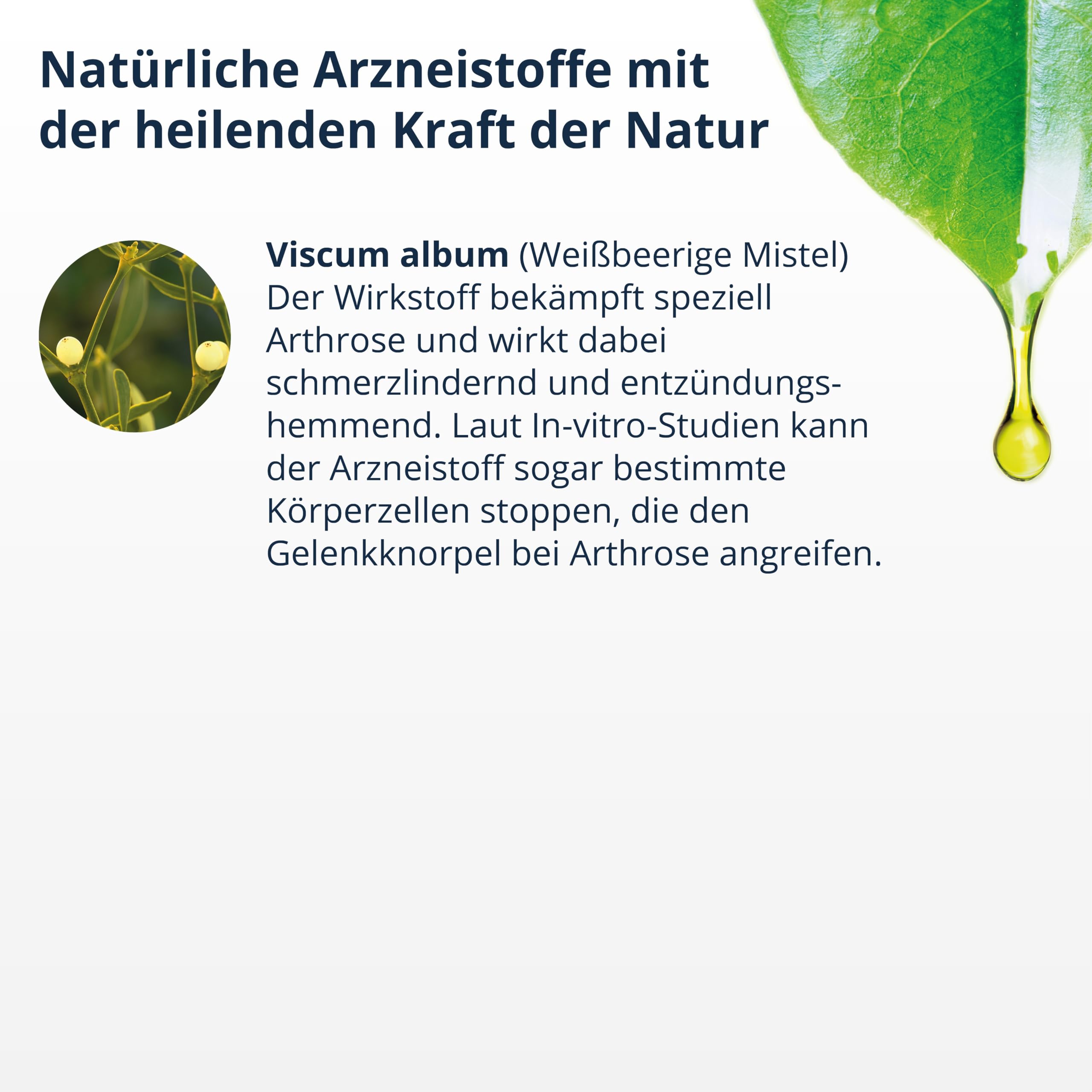 RubaXX Arthro [100ml] - Natürliches Arzneimittel speziell bei Arthrose - Kniearthrose, Hüftarthrose, Fingergelenksarthrose, Handgelenksarthrose