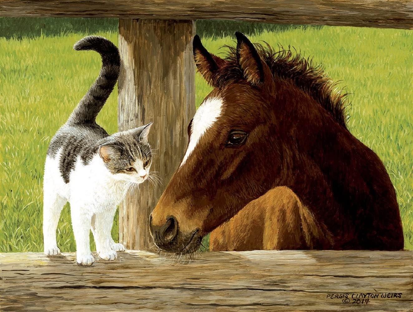 SUNSOUT INC - A Whiskery Hello - 500 pc Jigsaw Puzzle by Artist: Persis Clayton Weirs - Finished Size 18" x 24" - MPN# 51528