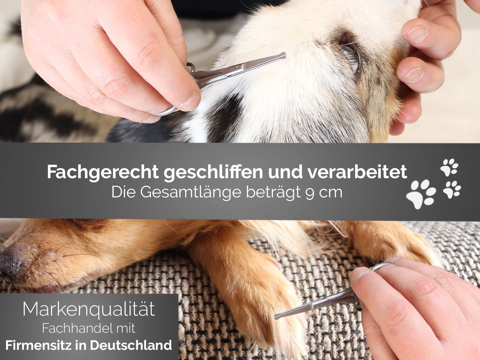 Fellschere Pfotenschere aus Solingen Kleine Hundeschere mit einseitiger Mikroverzahnung Hunde Haarschere aus Rostfreiem Edelstahl mit Scharfer Abgerundeter Schnittfläche für eine perfekte Fellpflege