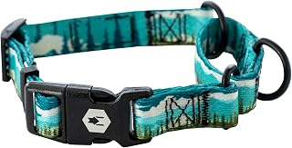 Wolfgang Heavy Duty Martingale Dog Collar with Quick Release Nylon Buckle for Walking & Training, GreatEscape Print, Medium