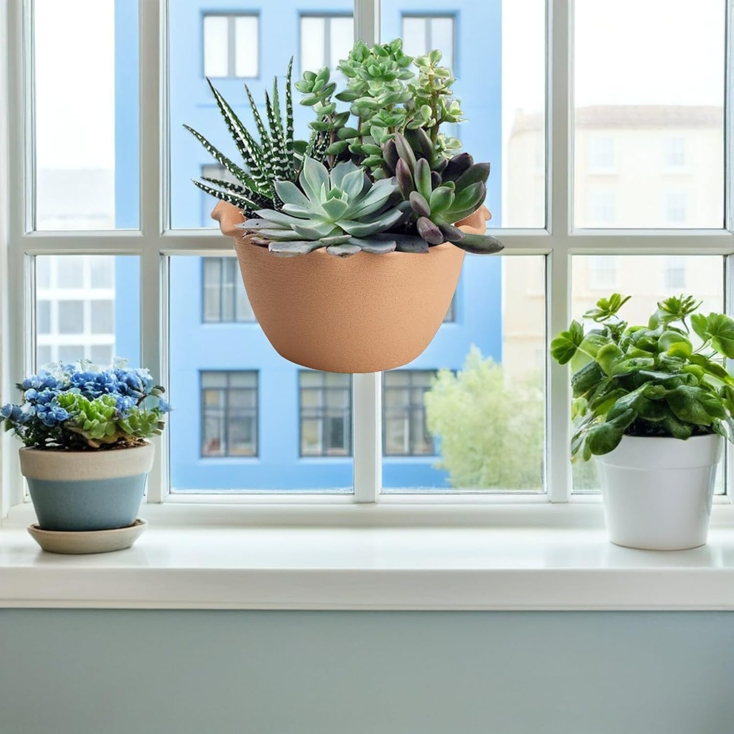 DOITOOL Plastic Hangers Hanging Planters Hanging Planters Wall Planter Flower Plant Pot Railing Planter Basket Half Round Flowerpot for Fence Balcony Gardens S Light Indoor Plants