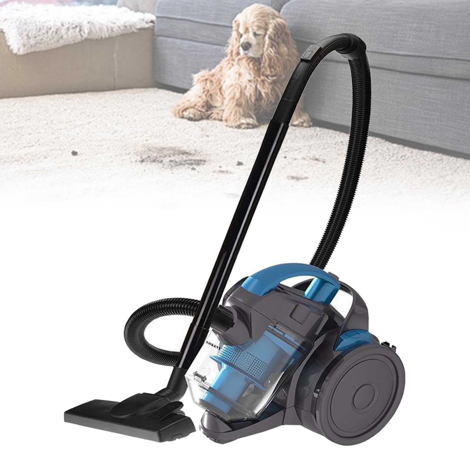 Aspirateur sans sac 2000W pour éliminer la poussière des tapis tenaces