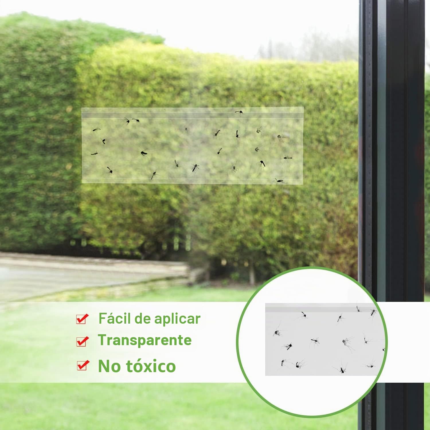 LFSYS Paquete de 100 trampas para moscas de ventana, trampas para moscas de fruta para interiores, tiras adhesivas de papel para moscas, trampas para moscas para interiores, atrapa insectos