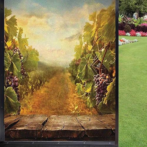Miniatura 1 de Vineyard - Película esmerilada para ventana de privacidad, viñedo de uvas maduras de uvas rústicas naturales, paisajes campestres, orquídeas, vino,