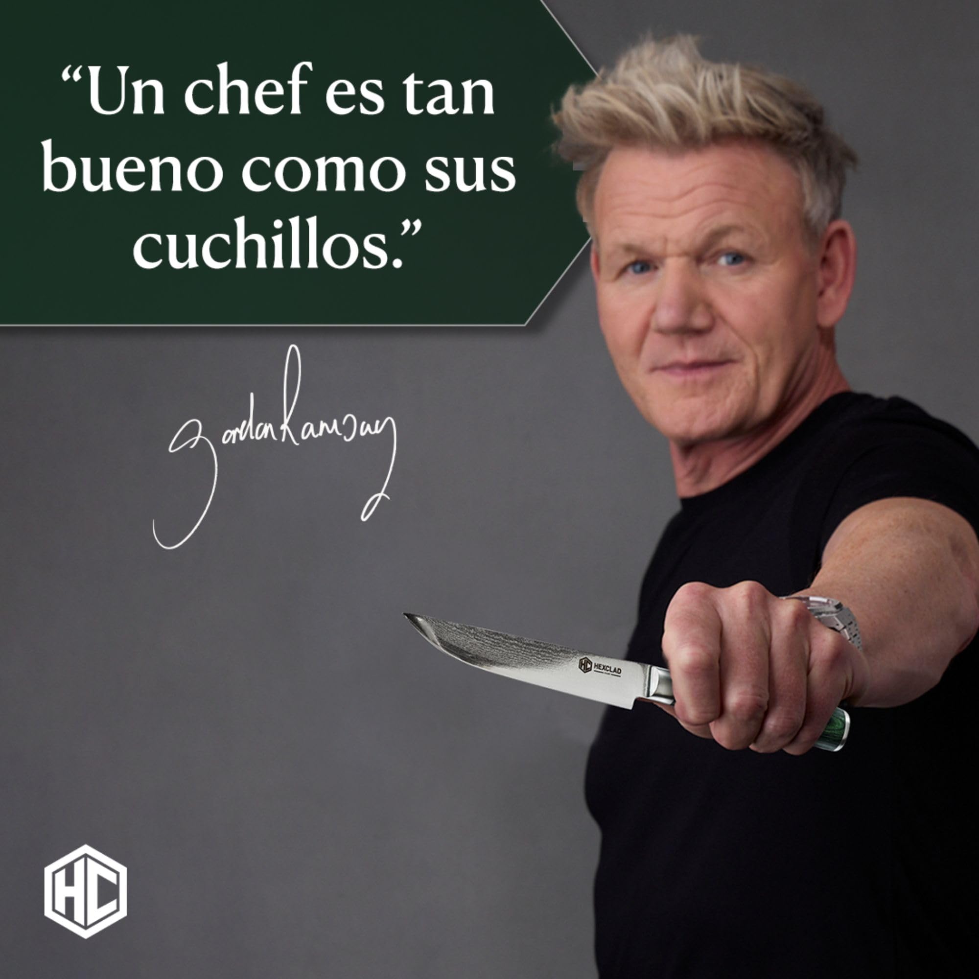 HexClad Juego de Cuchillos para Carne de 4 Piezas, Hojas de Acero Inoxidable de Damasco Japonés, Mango de Madera de Pakka