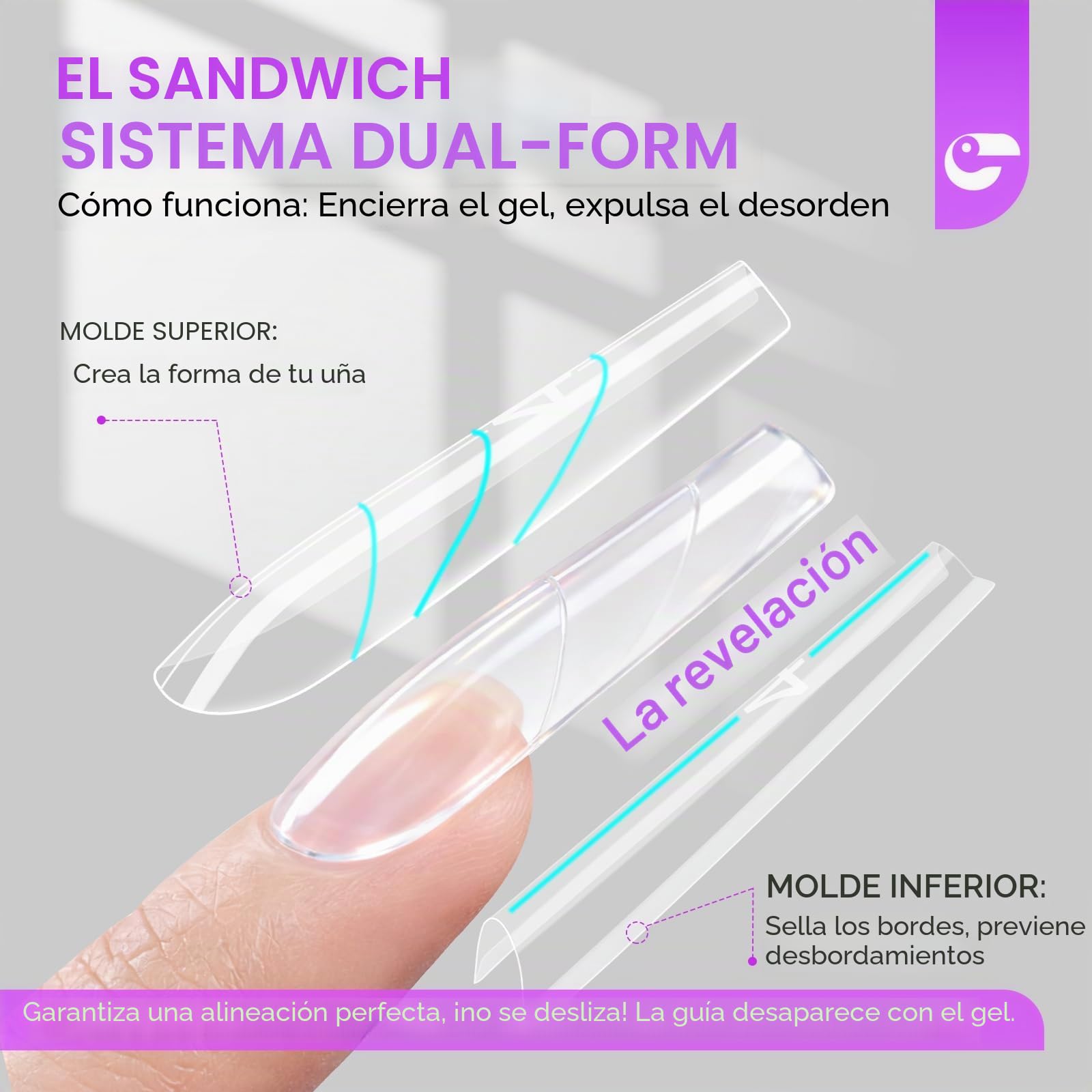 Gelike ec Formas de uñas dobles profesionales para gel constructor: diseño sándwich formas de uñas 240 piezas 15 tamaños - Para extensiones de gel impecables - Fácil para bricolaje y salón - Bailarina