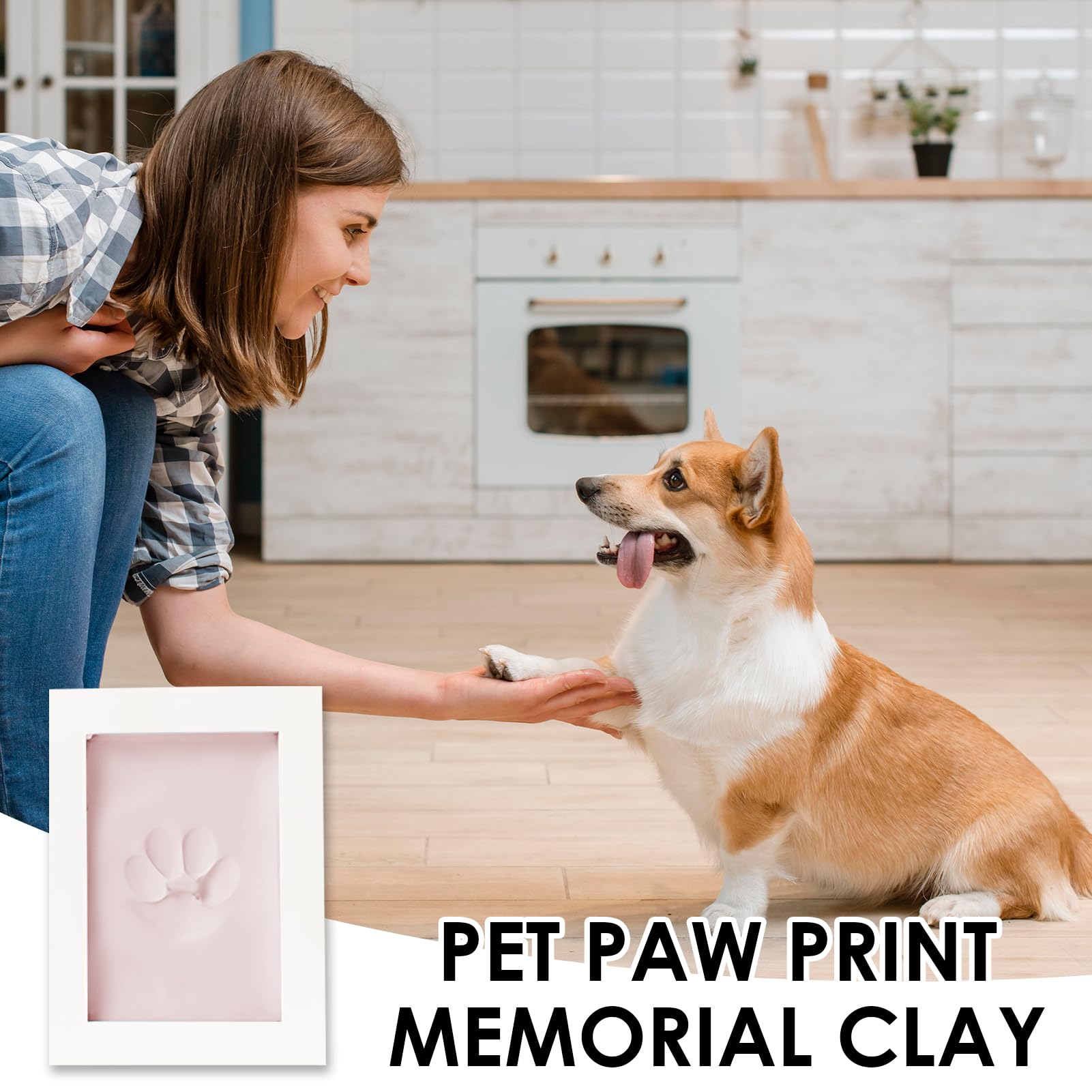 Empreinte D'animaux Piste D'oie Ongulée Animale Empreintes Isolées Faune Sauvage Différents