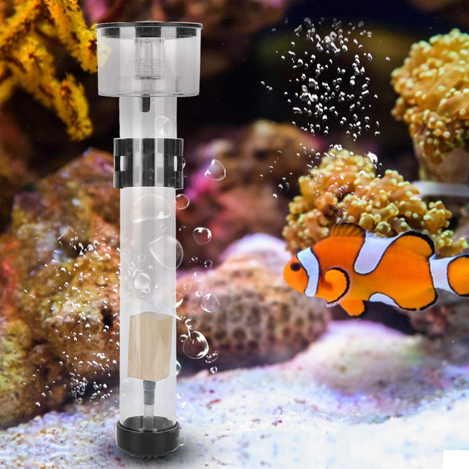 EVTSCAN Protein Skimmer Aquarium Filters Acrylic Fish Tank Filter Separator with IQ5 Aquarium Filter Accessory
