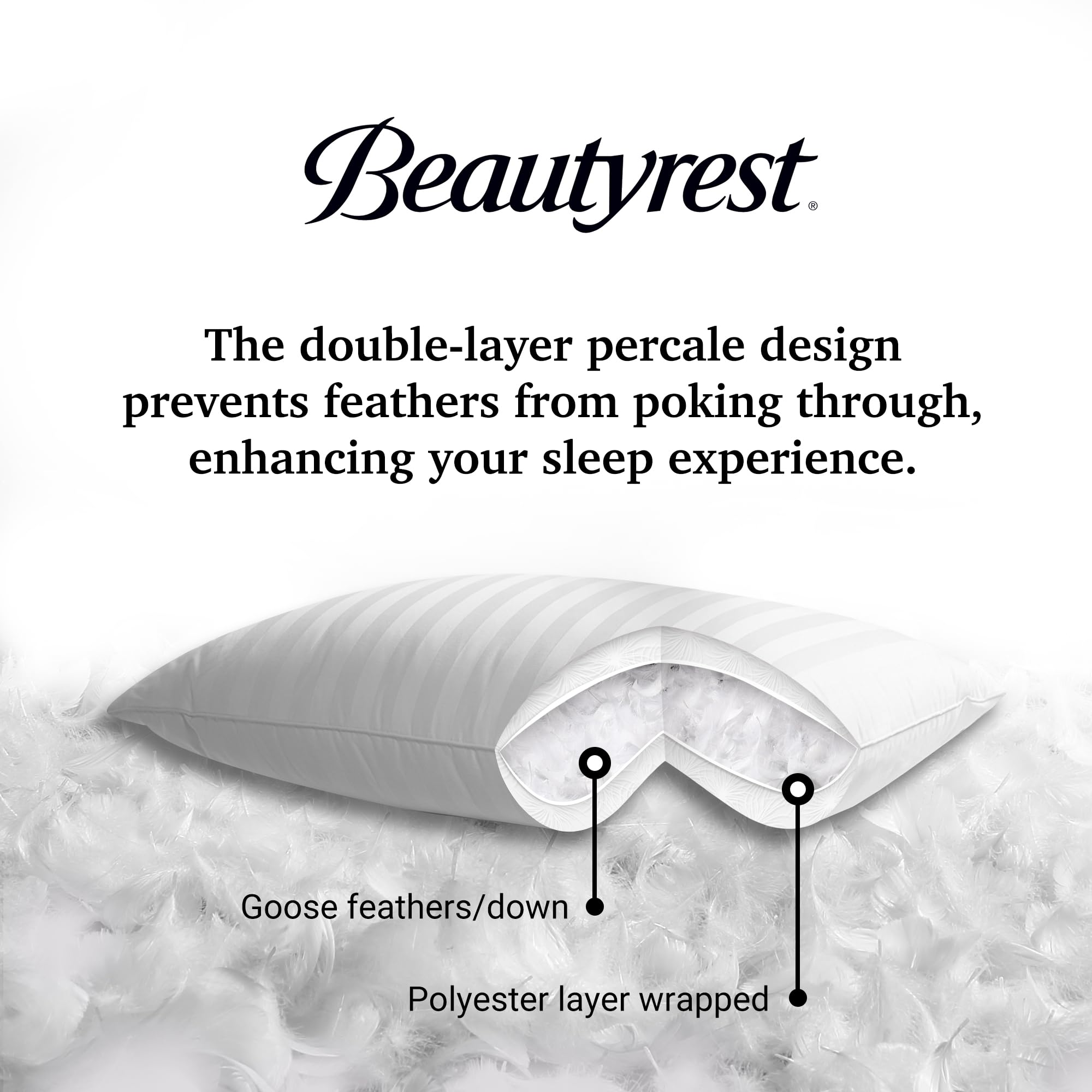 Beautyrest Cuscini In Piuma D'Oca – Queen Size (50x70cm) – Confezione Da 2 – Ipoallergenici – Federa In Cotone 500 Fili