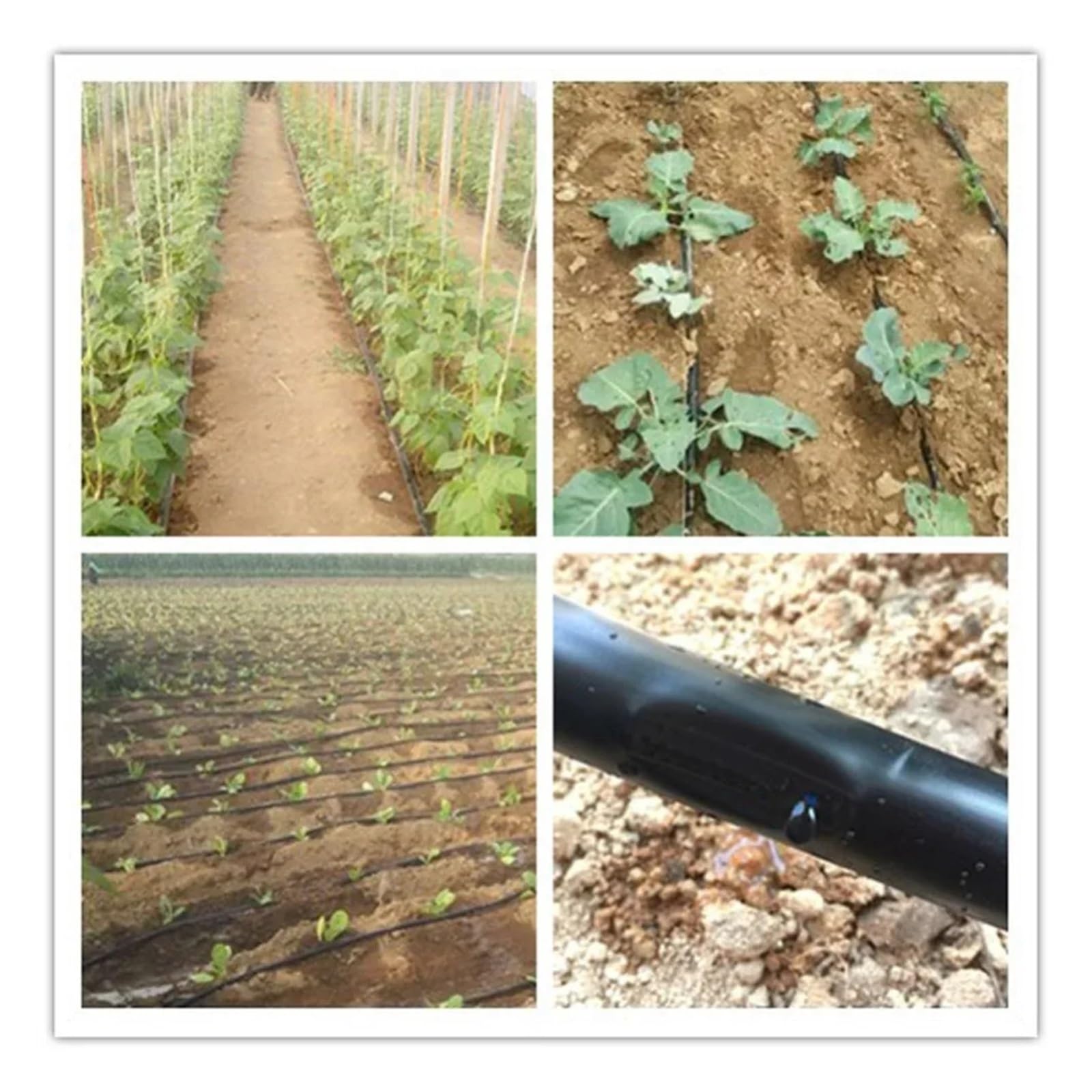 Ruban d'irrigation goutte à goutte 20/40/60/80 m, outils agricoles, tuyau de 16 mm, système d'arrosage 10/15/20/30 cm, économie d'eau(15cm space,2x40m)