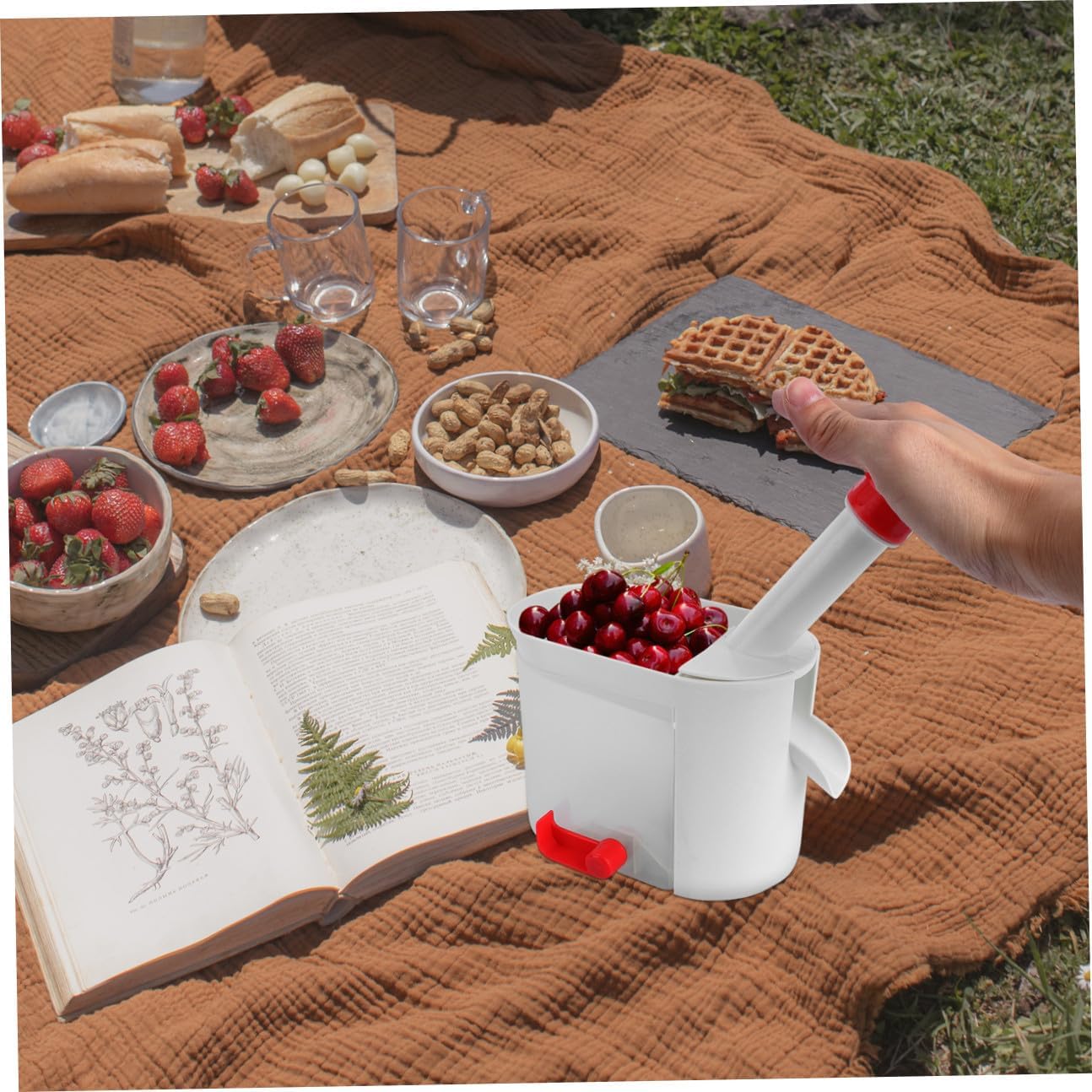 VOSAREA 1Pc Multifunctional Cherry Pitter Tool Fruit Vegetable Device for Quick Pit Removal for Safety and Hassle Cherry Preparation