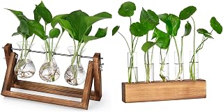 YIBOT Propagation Stations,Plant Terrarium with Retro Wooden Stand, Unique Gardening Birthday Gifts for Women Plant Lovers, Hydroponics Plants Home Office Garden Decor