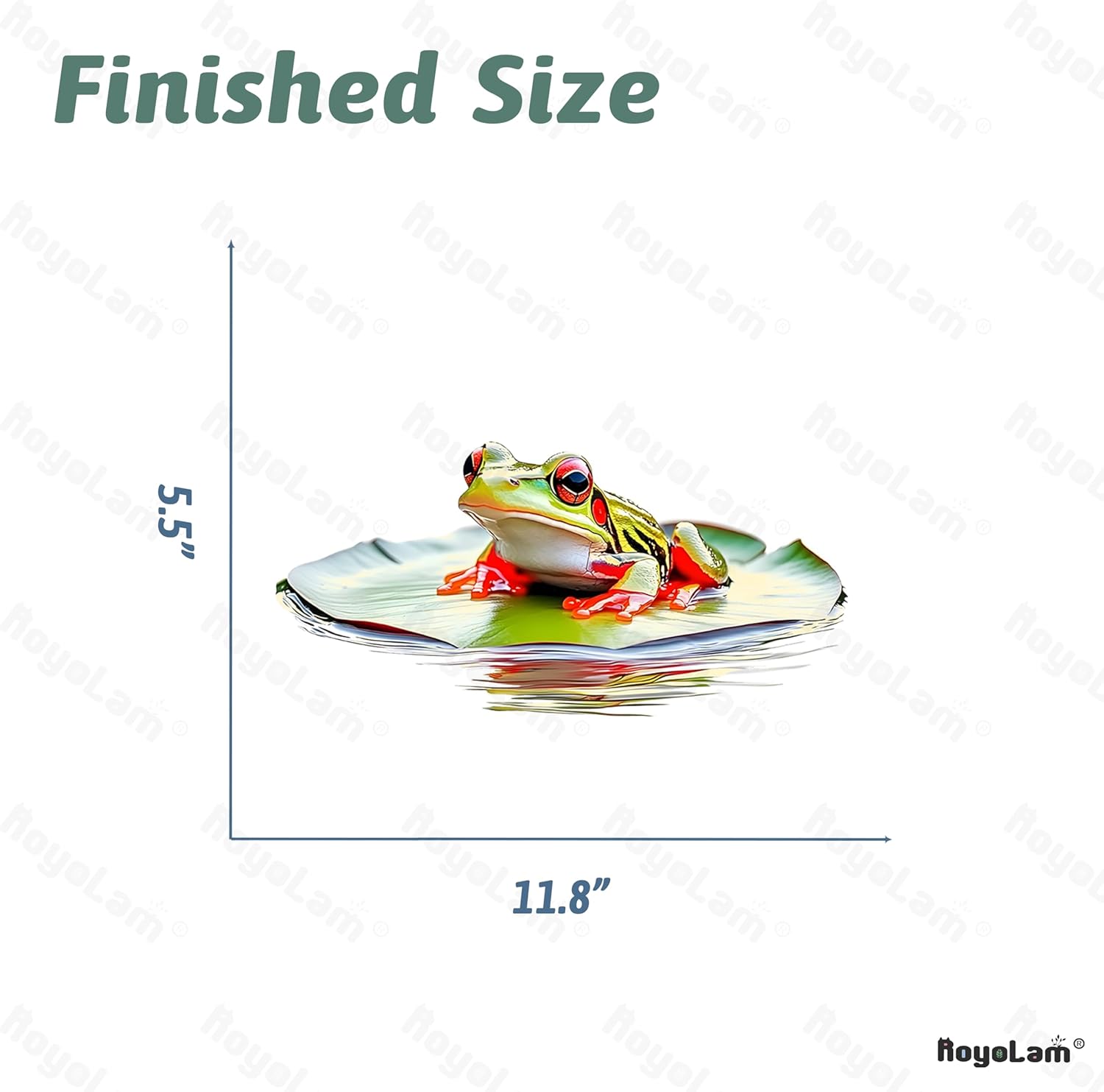 Red-Eyed Tree Frog Wall Decals Removable Animal Vinyl Stickers for Nursery Kids Bedroom and Playroom Decor Peel and Stick Realistic Wall Art - Image 5