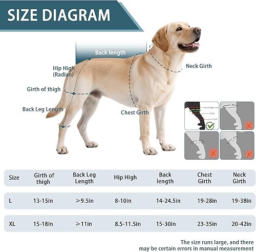 Miniatura 3 de Dog Knee Brace for Torn ACL Hind Leg, Acl Brace for Dogs Rear Leg, Warm Joint and Relieves Joint Pain, Support Back Leg with Arthritis Pain,L Grande