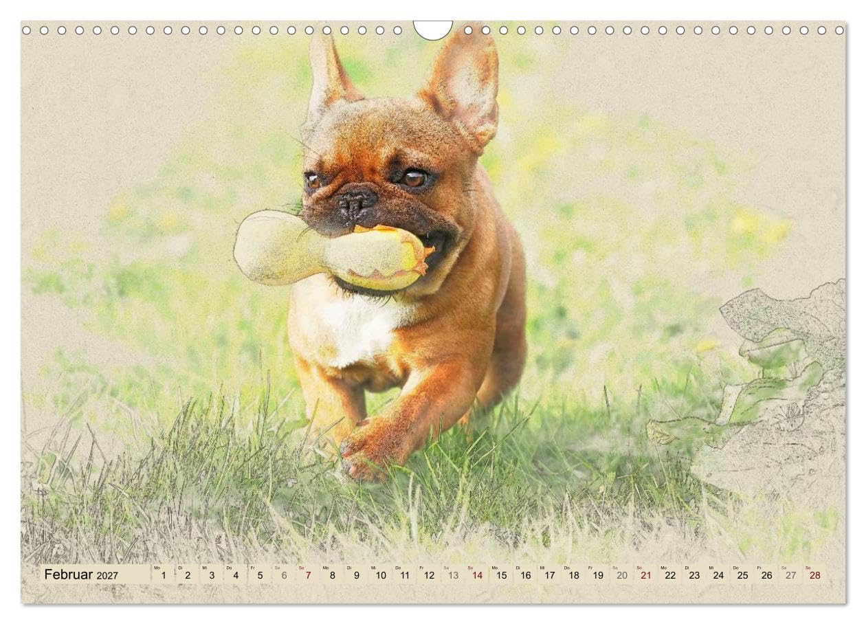 CALVENDO - Französische Bulldoggen 2027 (Wandkalender 2027 DIN A3 quer), Monatskalender: Französische Bulldoggen im kunstvollen Aquarell-Stil. Wer außergewöhnliche Bilder liebt, wird in diesem Kalende