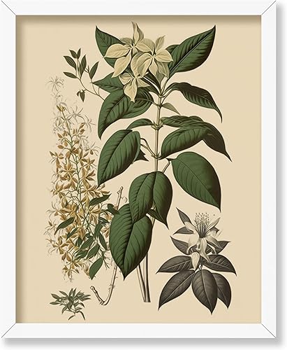 Miniatura 454 de Poster Master Póster vintage de orquídea, estampado de flores retro, arte de pared de plantas exóticas, arte botánico, regalo para hombres y