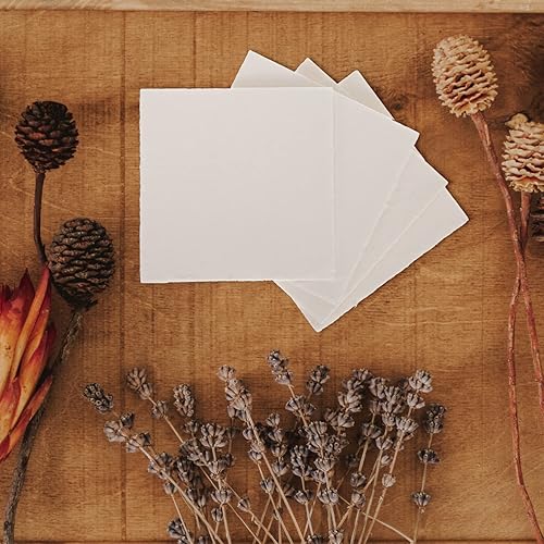 Miniatura 2 de EXCEART Kit de prensa de flores de 4 piezas kit profesional de cartón seco de hojas de flores y plantas para prensado de frutas para preservación de