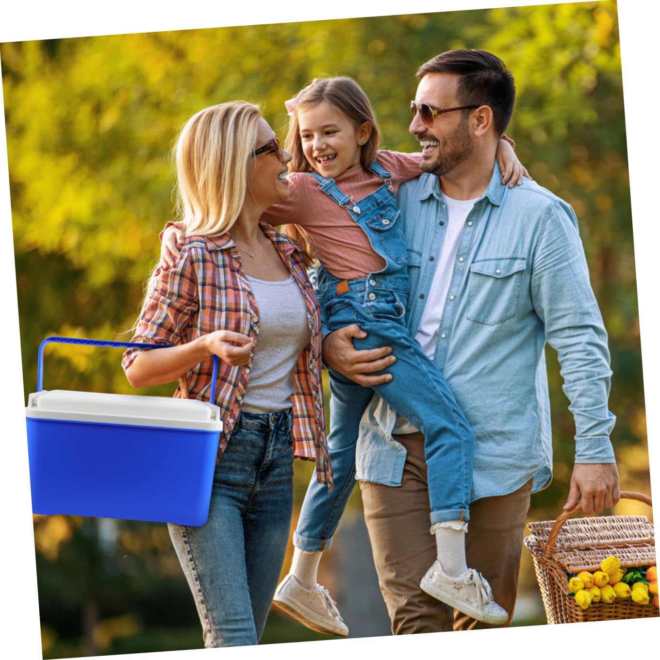 VICASKY Insulated Portable Cooler Box for Picnic Large Cooler Basket Leak Lunch Bag Insulated Picnic Basket