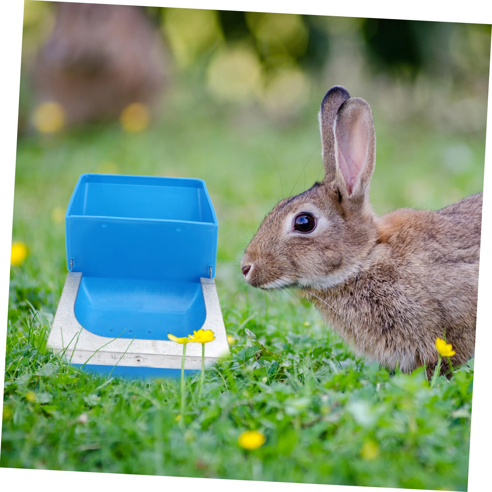 VANZACK 6pezzi Mangiatoia Per Pollame Per Alimentazione Animali Domestici Capacità Colore Casual Facile Da Pulire e Appendere Accessorio Per Allevamento Pollame e Conigli