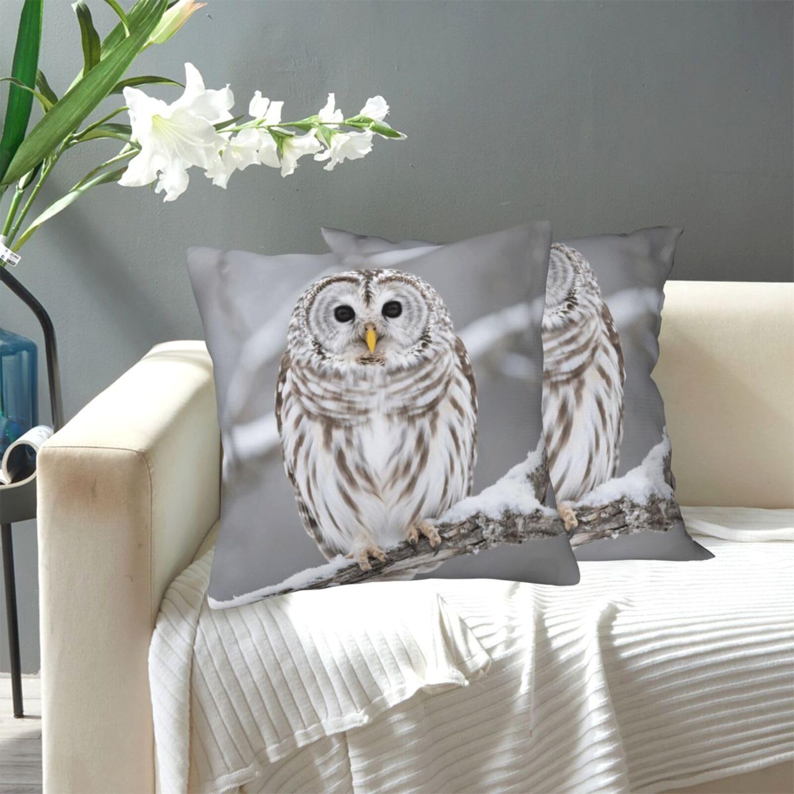 FekiLoot Decorative Throw Pillow Covers Modern Farmhouse Pillowcase Double Sided Cozy Cushion Cover for Sofa Couch Bed 12"X12" Curious Barred Owl Closeup