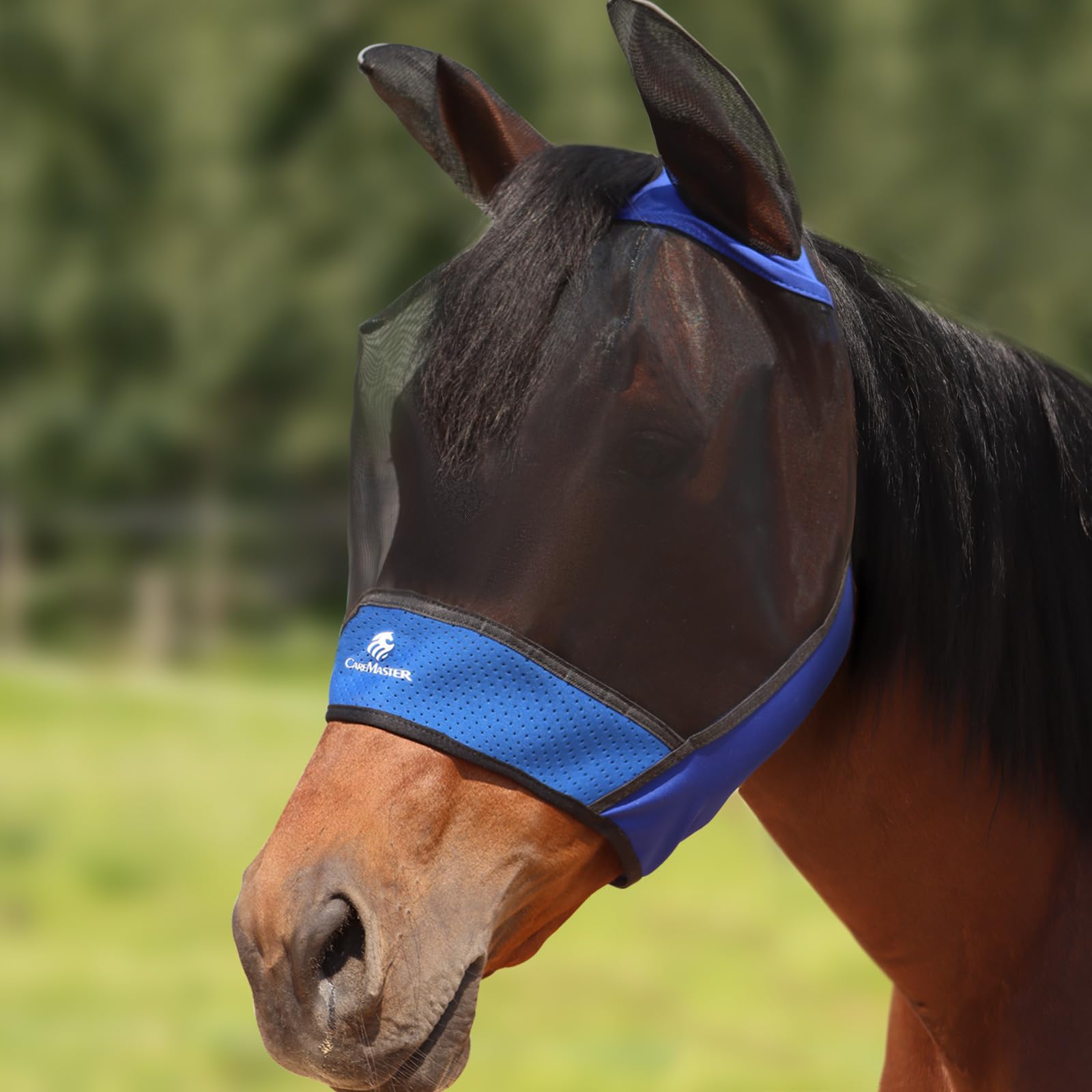 CareMaster Horse Fly Mask Large Space Breathable UV Protection Equine Mask with Reflective Features on Ears Royal Blue L