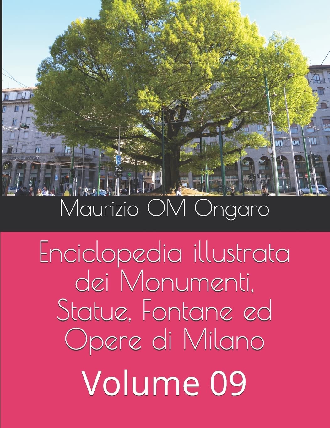 Encyclopédie monuments de Milan Volume 9 beau livre pour salon